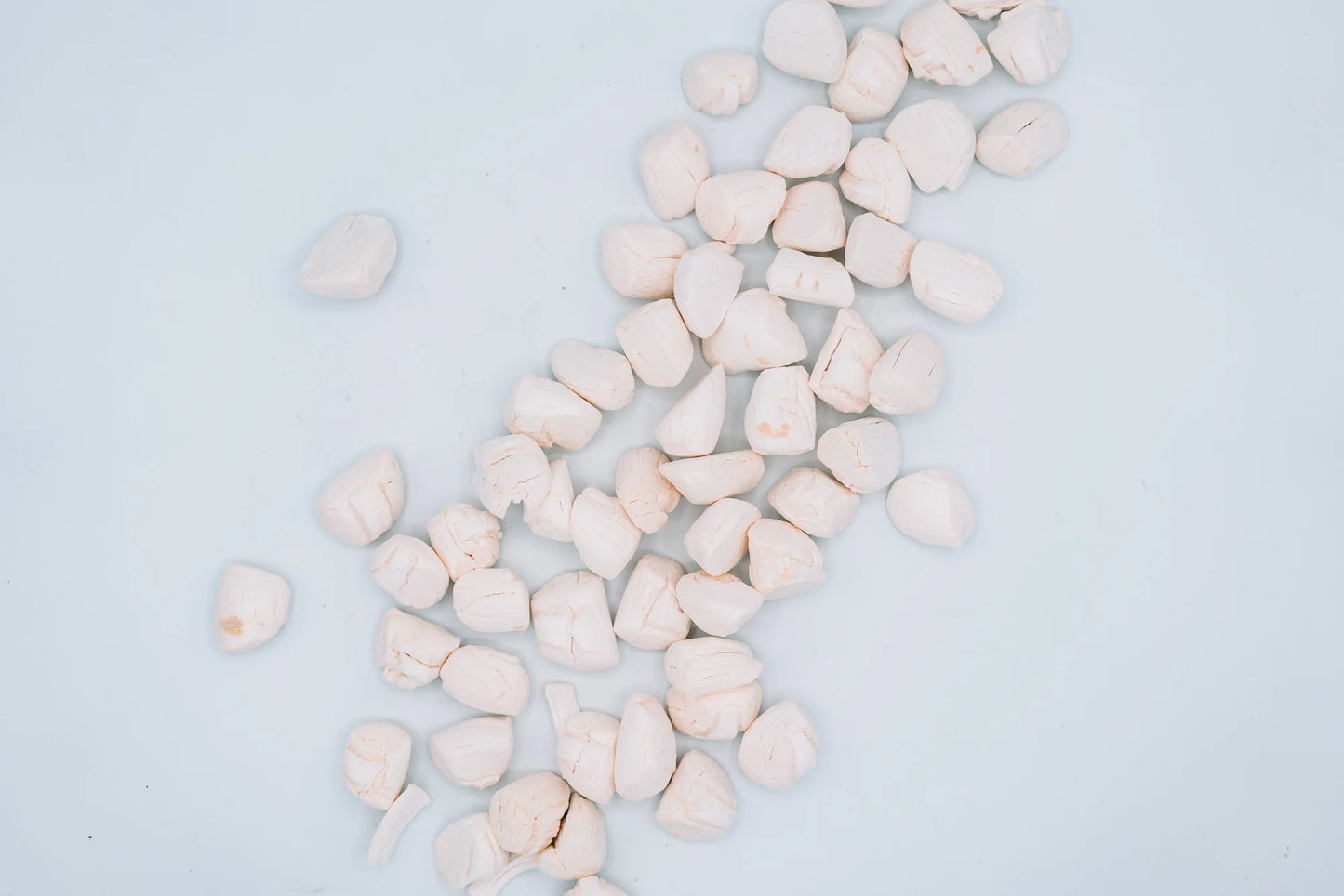 美國凍乾扇貝 1.5oz(預購)