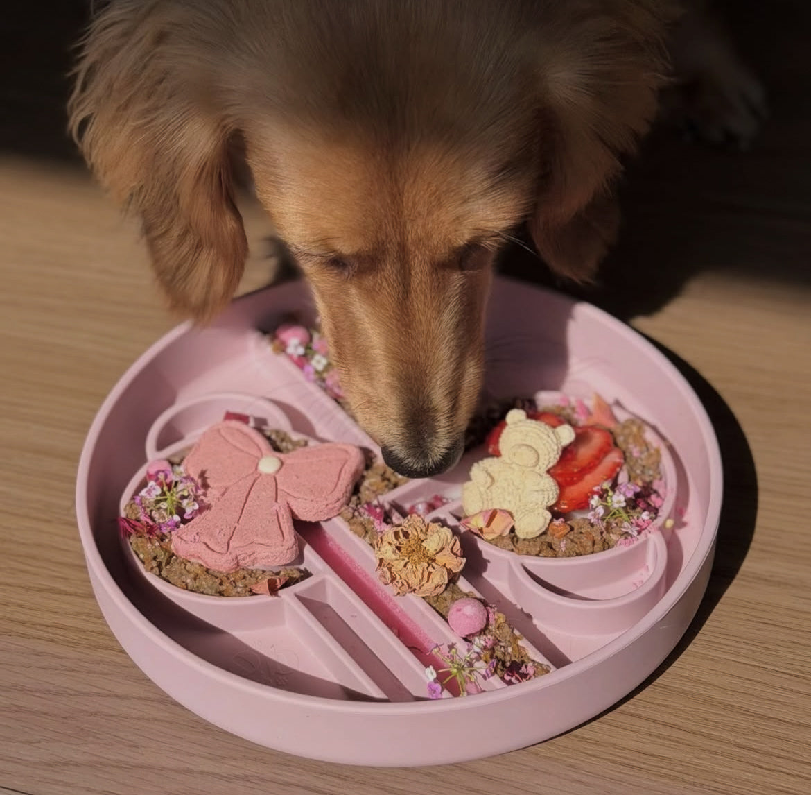 Zoomies slow feeder bowl | lychee