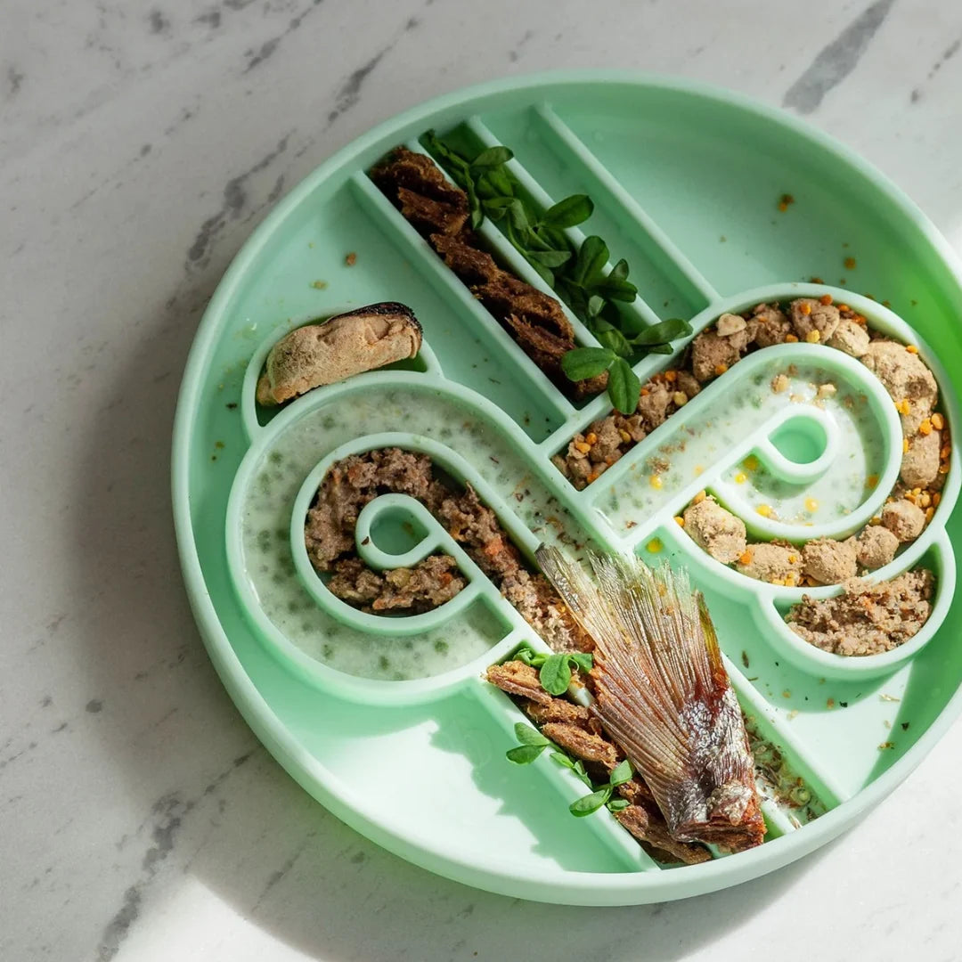 Zoomies slow feeder bowl | cucumber melon
