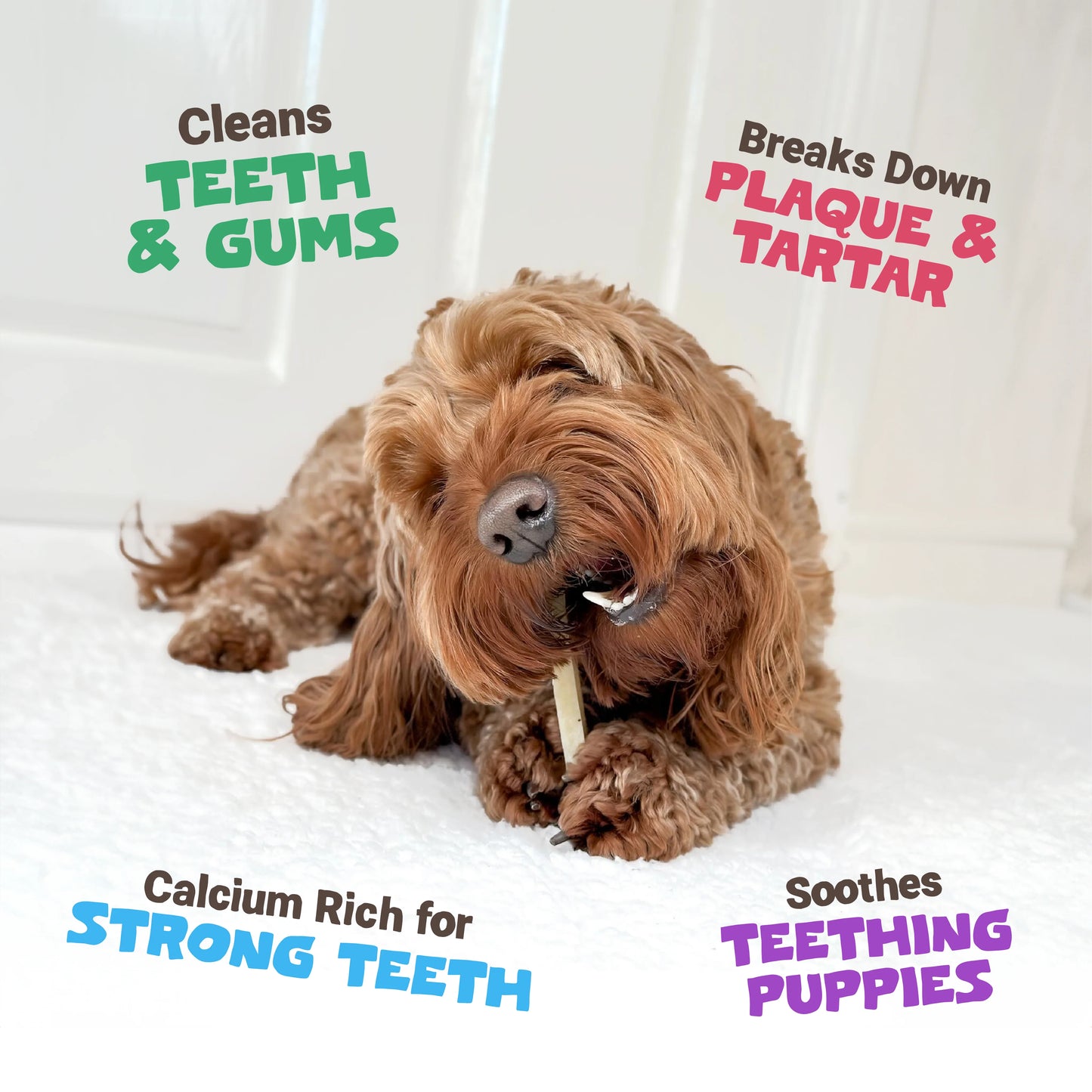 Himalayan Yak Chews Medium 3pcs