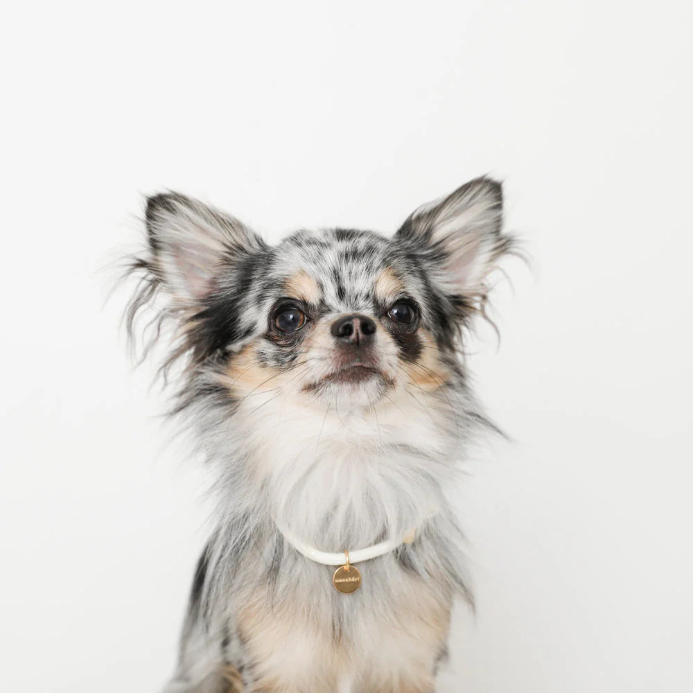 Moncheri 生日禮品裝(預購)