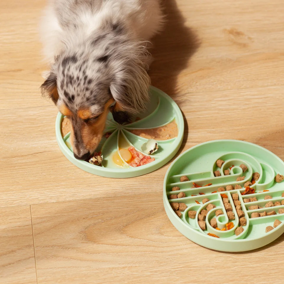 Wheelies lick mat & lid | cucumber melon