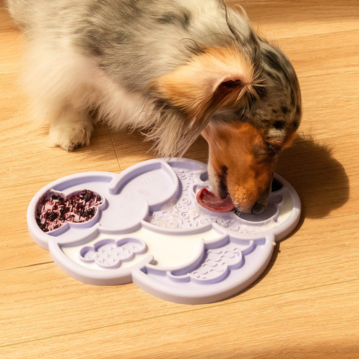 Cloud nine lick mat & lid | viola