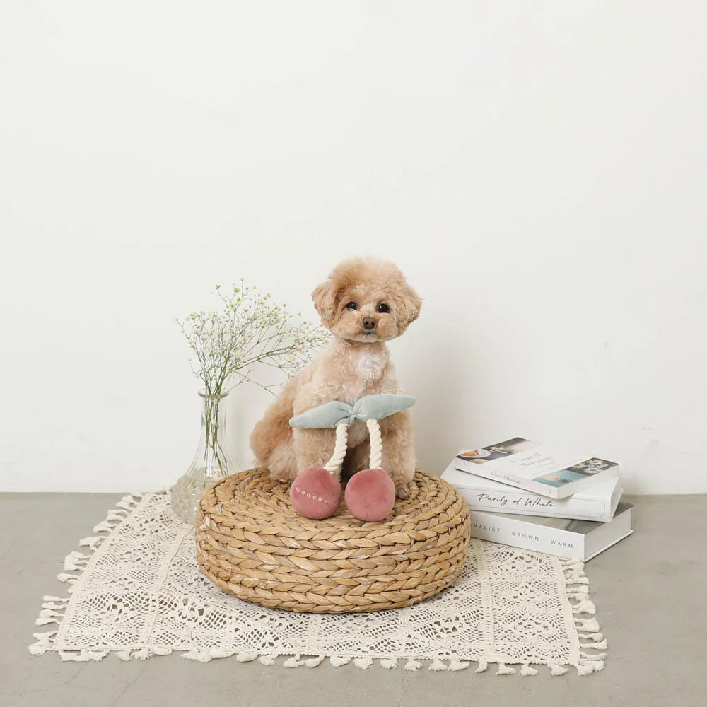 櫻桃繩編毛絨玩具(預購)