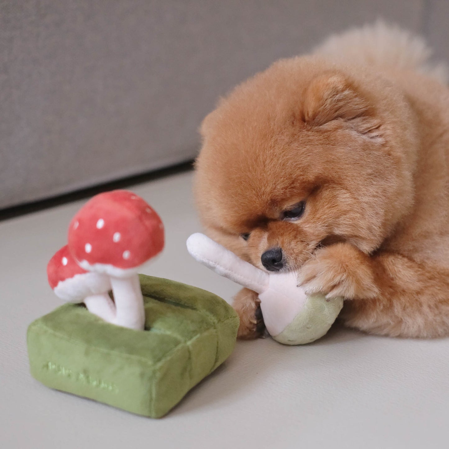 Forest Mushroom Nosework Toy(預購)