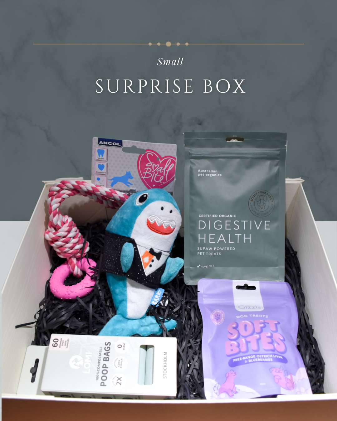 小型寵物盲盒(貓狗適用)