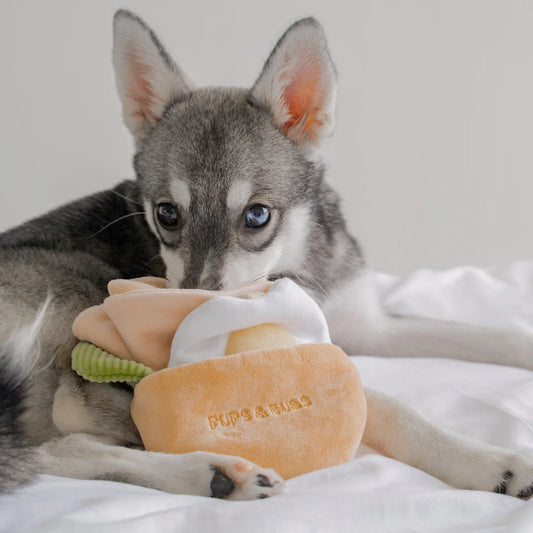 Pita Pocket Nosework Toy