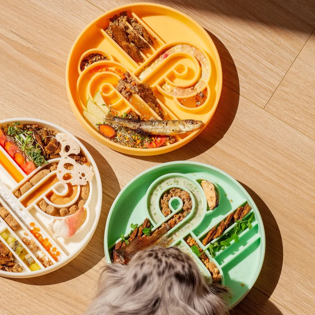 Zoomies slow feeder bowl | cucumber melon