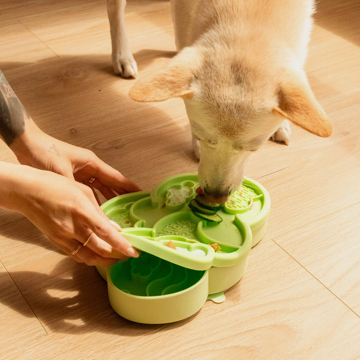 Cloud nine lick mat & lid | honeydew