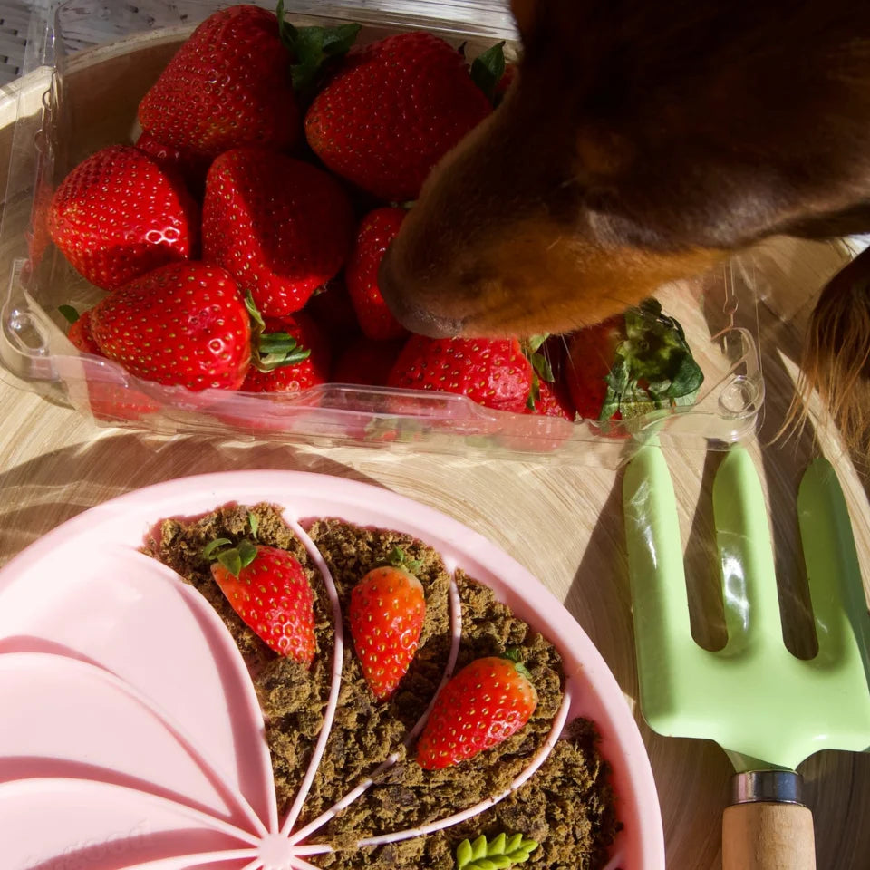 Wheelies lick mat & lid | strawberry