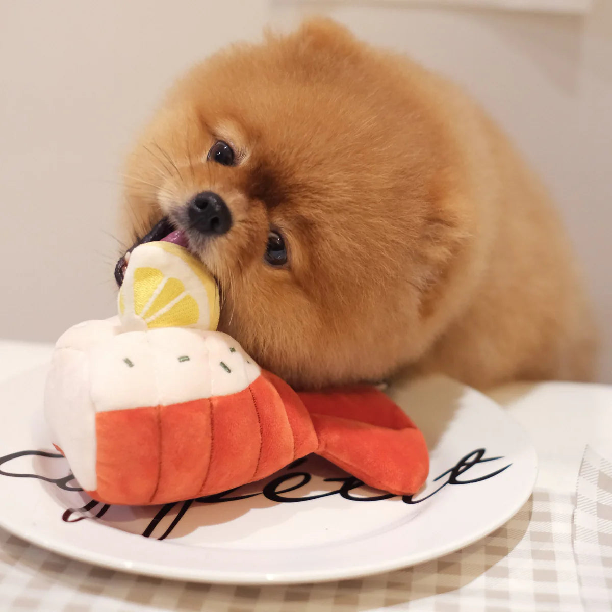 Grilled Lobster Nosework Toy (預購)