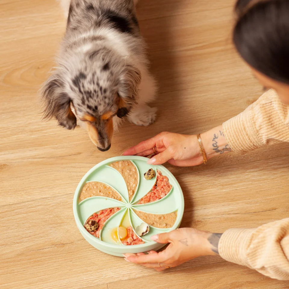 Wheelies lick mat & lid | cucumber melon