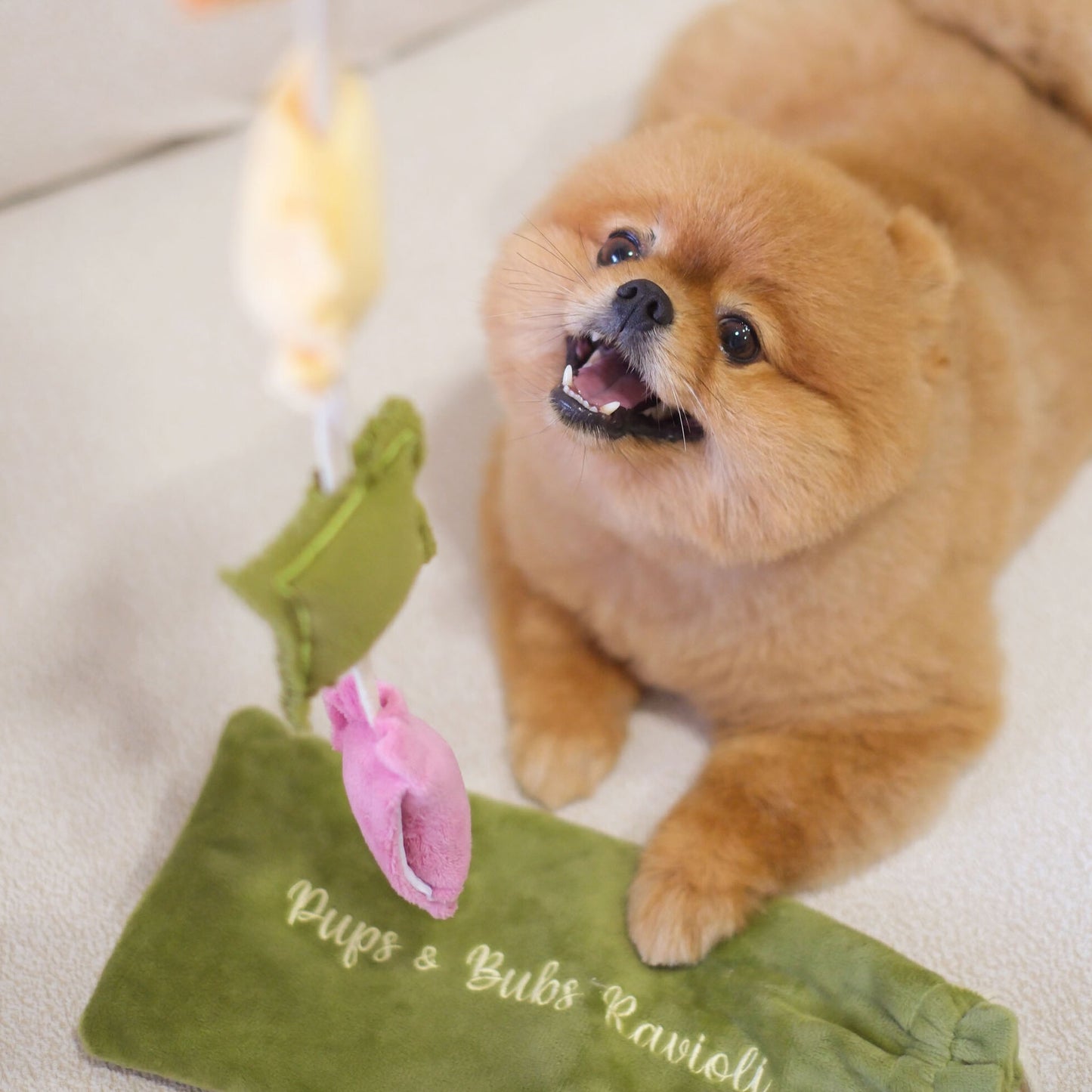 Ravioli Nosework Toy（預購）