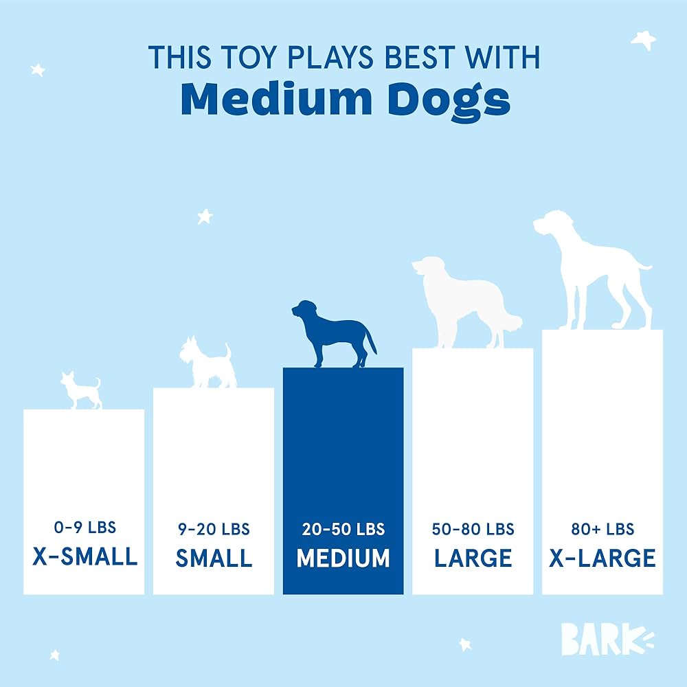 Barkbox Paula's Park Slope Pretzel Dog Toy
