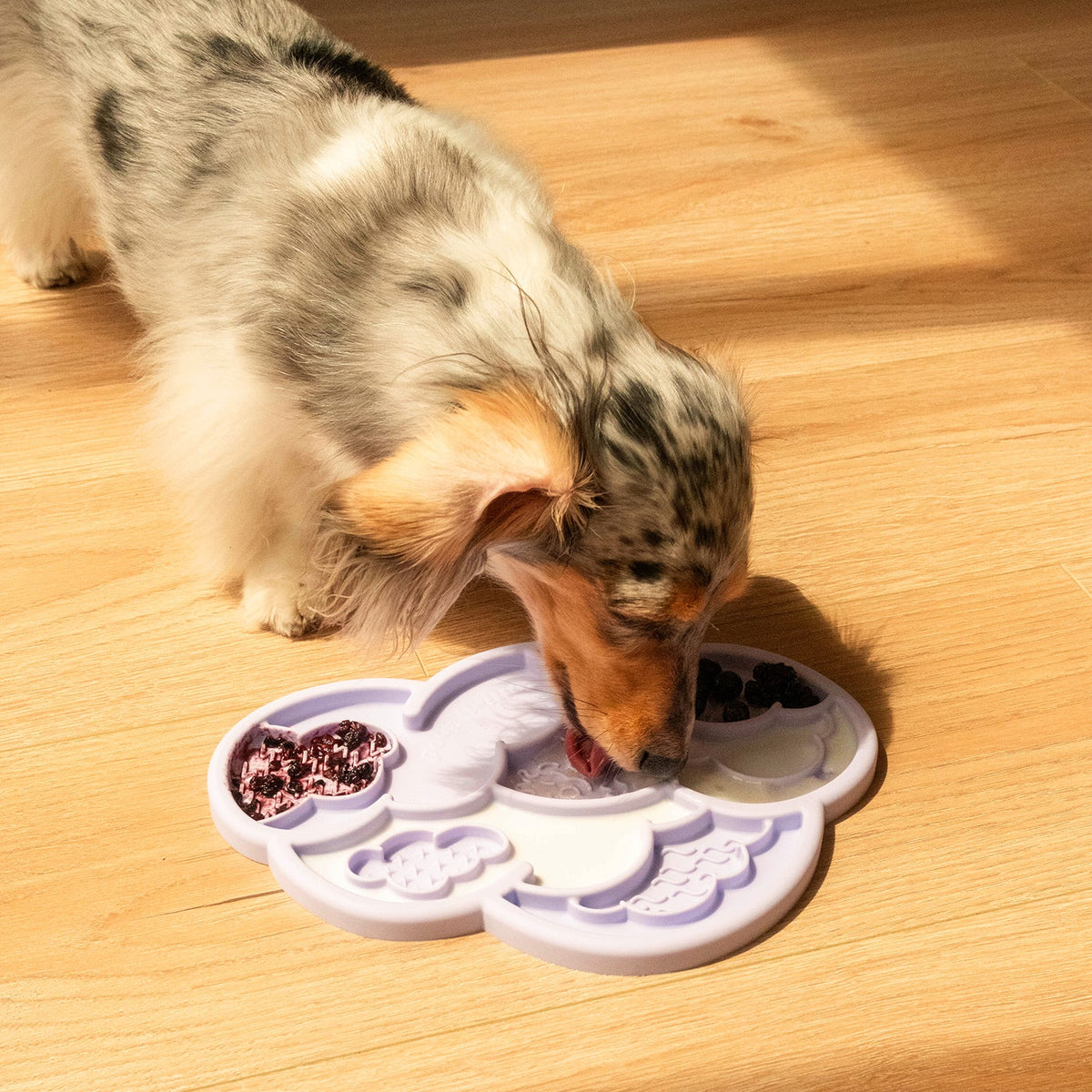 Cloud nine lick mat & lid | viola