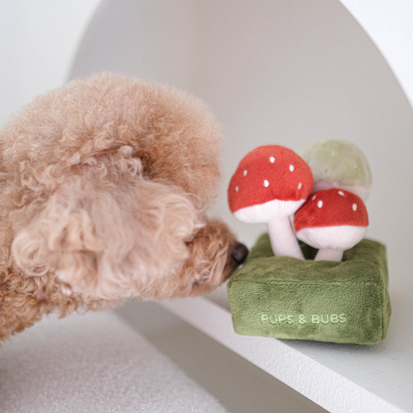 Forest Mushroom Nosework Toy（預購）
