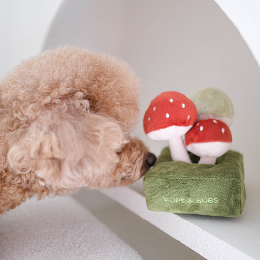 Forest Mushroom Nosework Toy（預購）