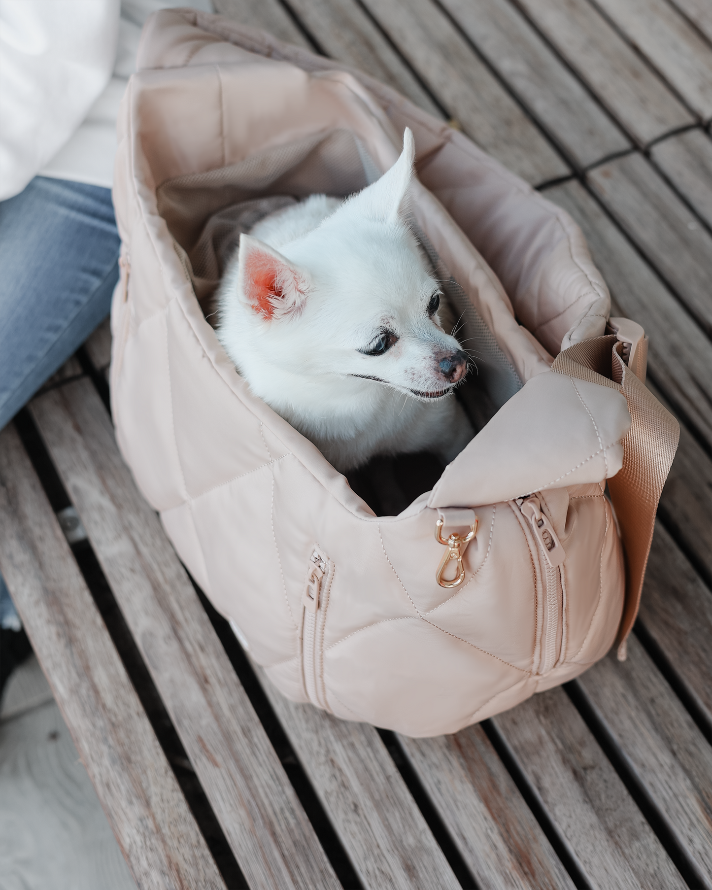 Cloud Crossbody斜肩寵物袋（預購）
