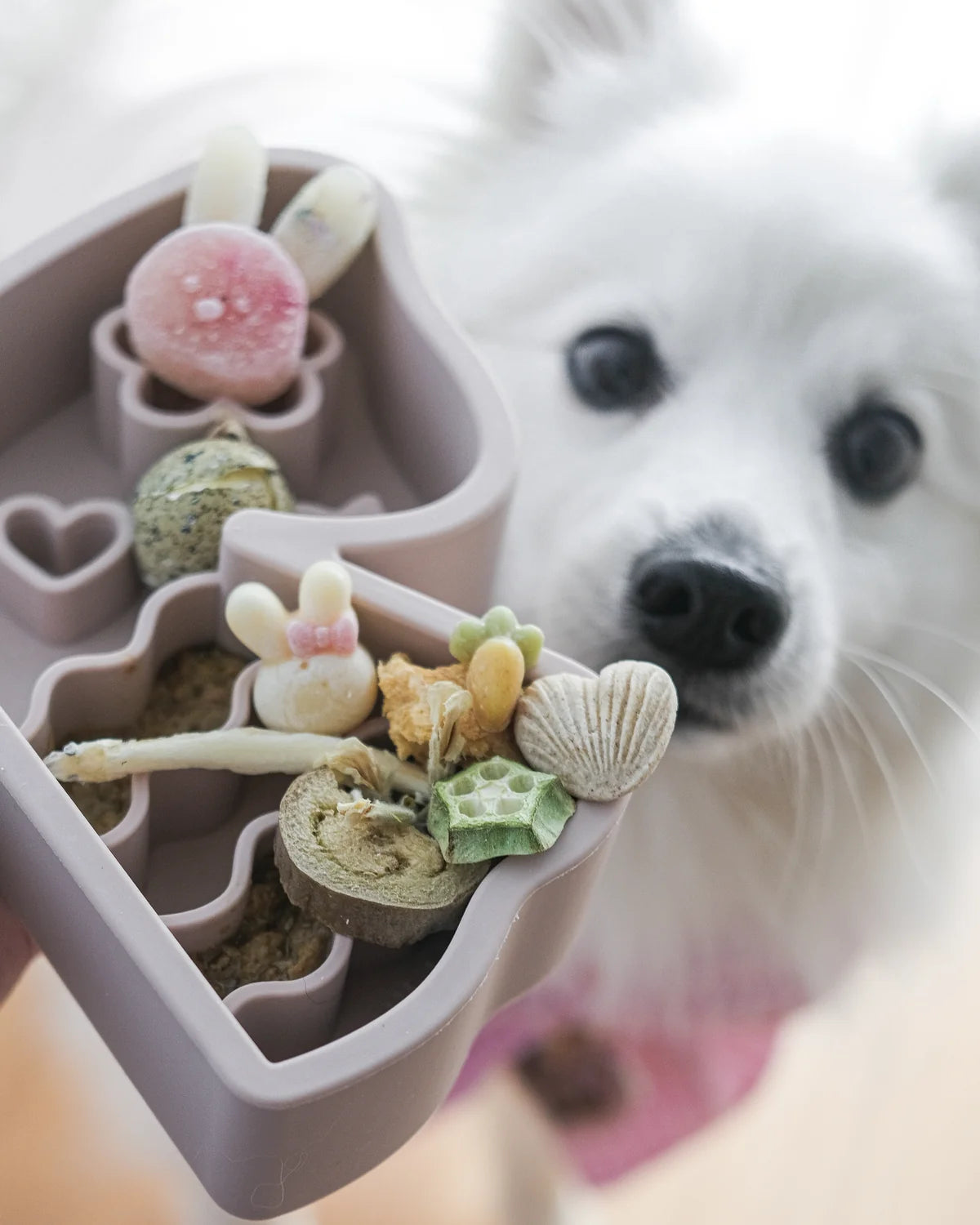 蝴蝶結慢食墊 — 拿鐵