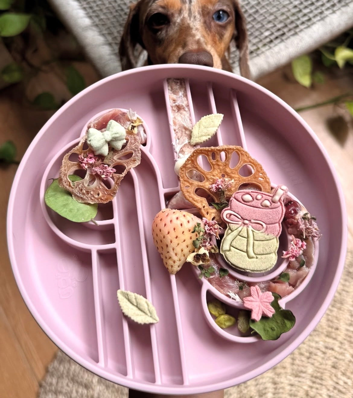 （預購）Zoomies慢食碗 | 荔枝