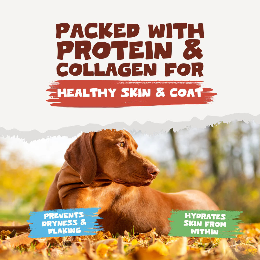 英國牛骨粉 250公g (貓狗適用）