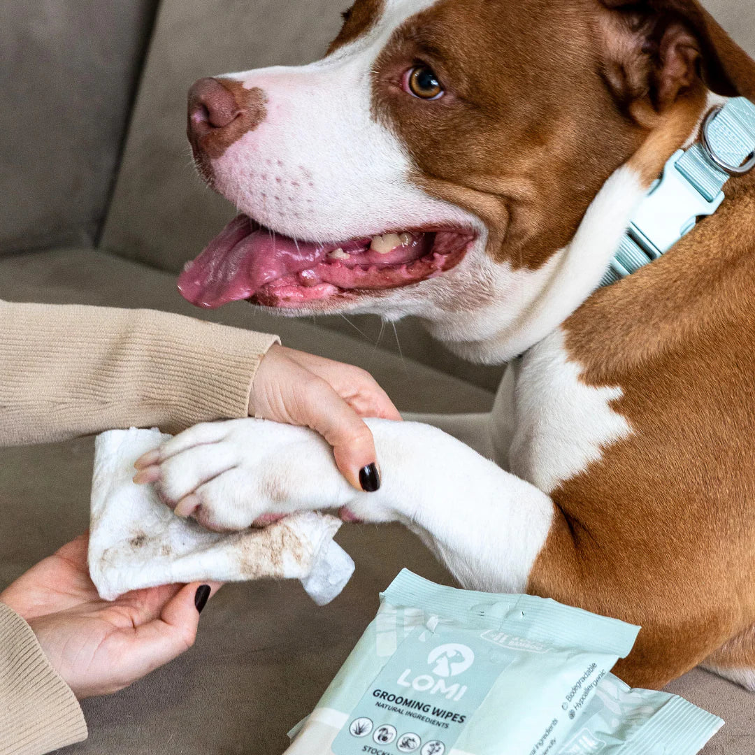 瑞典Lomi蘆薈洋甘菊犬貓專用濕巾 20片裝