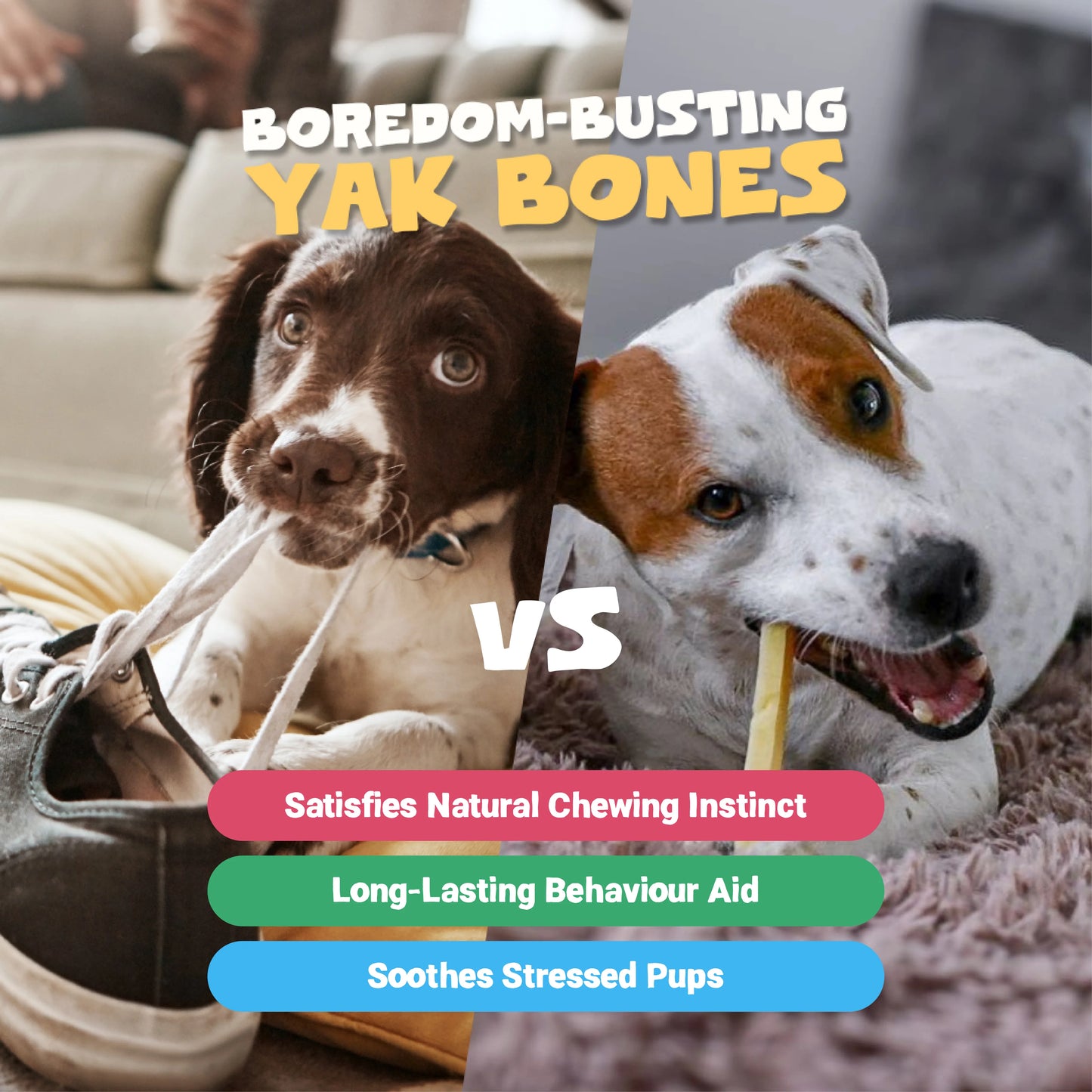 Himalayan Yak Chews Medium 3pcs