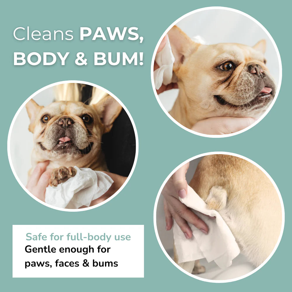 瑞典Lomi蘆薈洋甘菊犬貓專用濕巾 20片裝