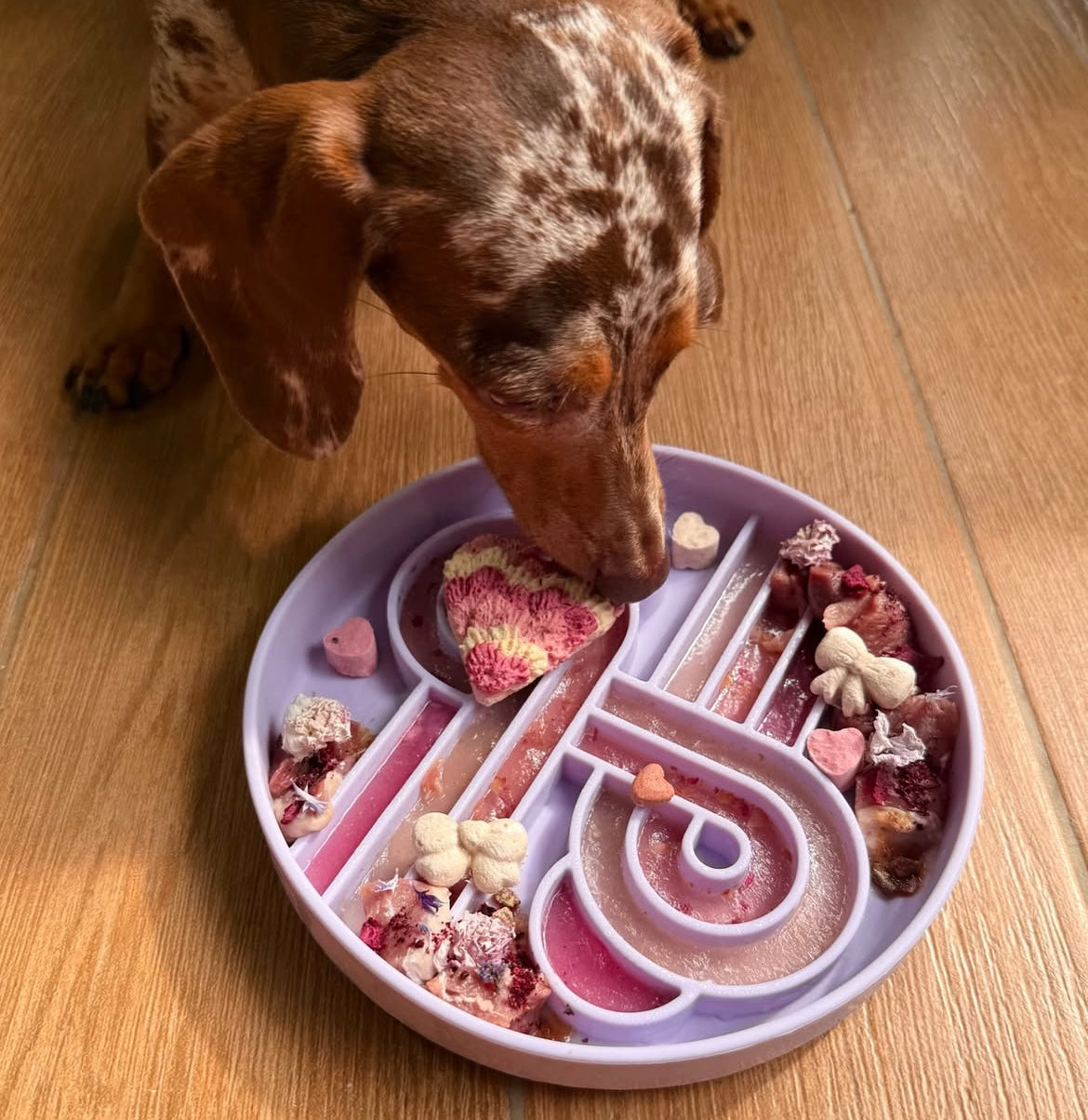 (Pre-order) Zoomies slow feeder bowl | Fig