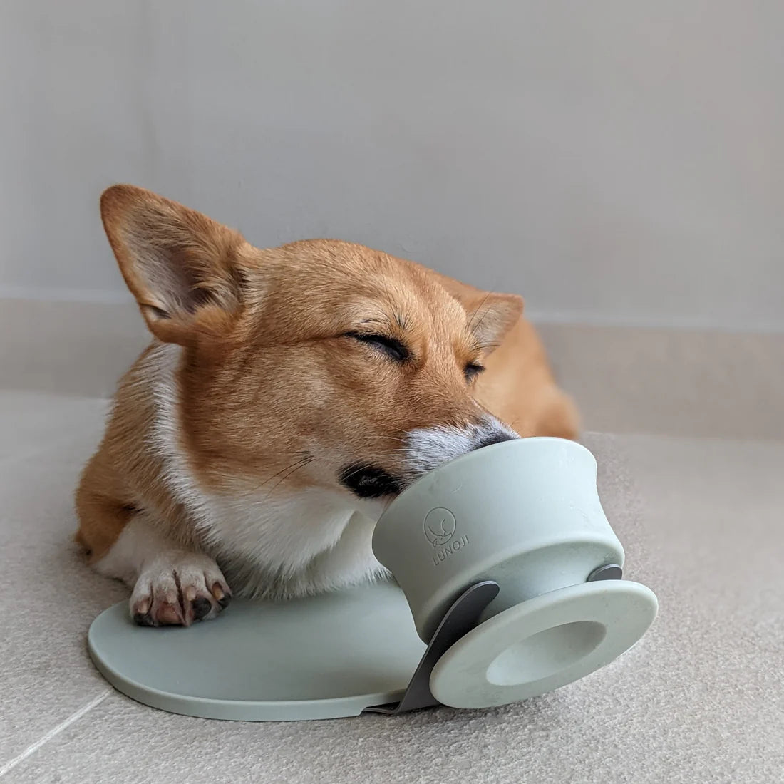 Trove慢食杯 (綠)