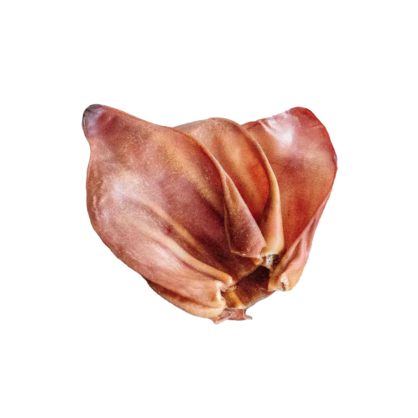 美國風乾豬耳3/6隻（預購）