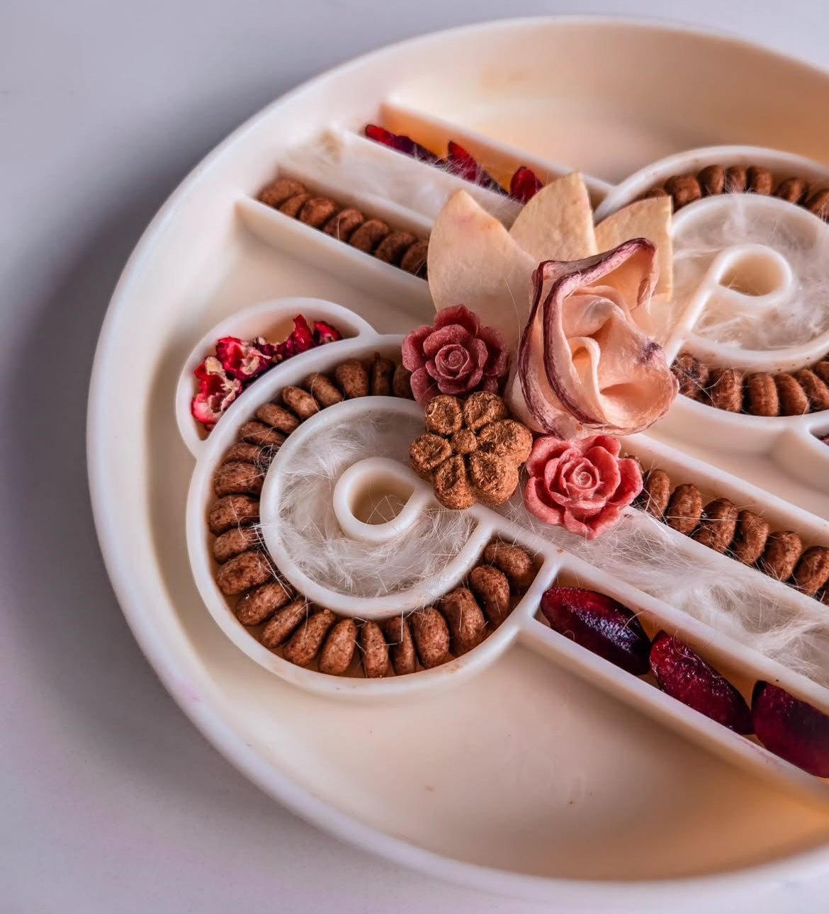 （預購）Zoomies慢食碗 | 椰子