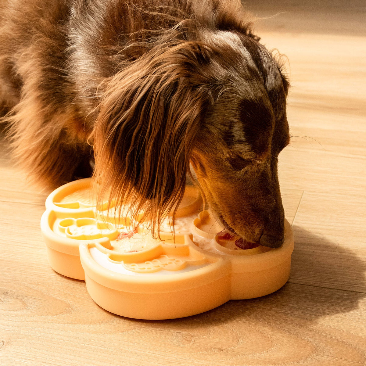 Cloud nine lick mat & lid | clementine