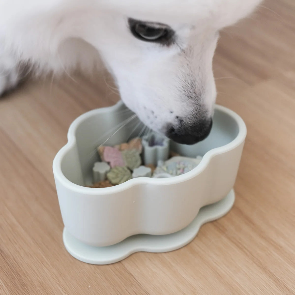 nimbus forage feeder in matcha