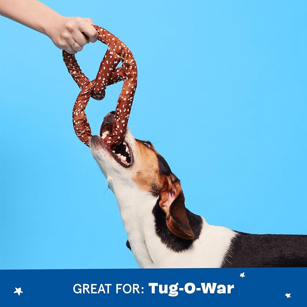 Barkbox Paula's Park Slope Pretzel Dog Toy