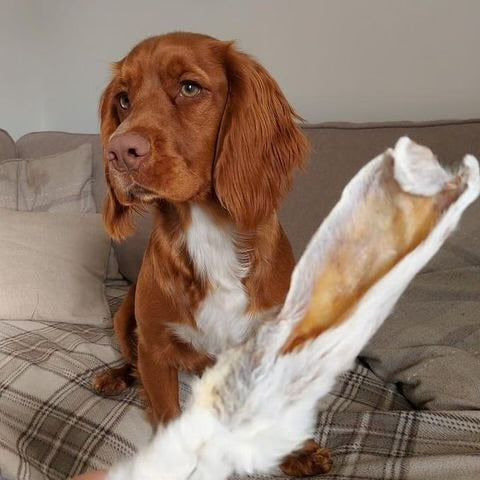Rabbit Ears with Hair 100g