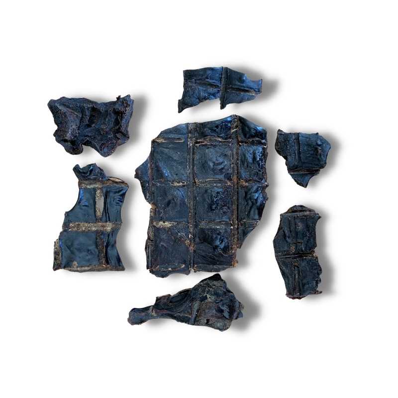 澳洲袋鼠肝 100g（預購）