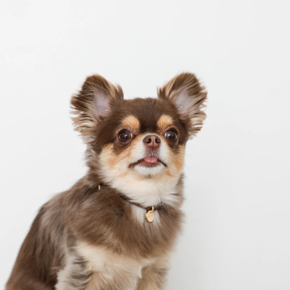 Moncheri 生日禮品裝（預購）