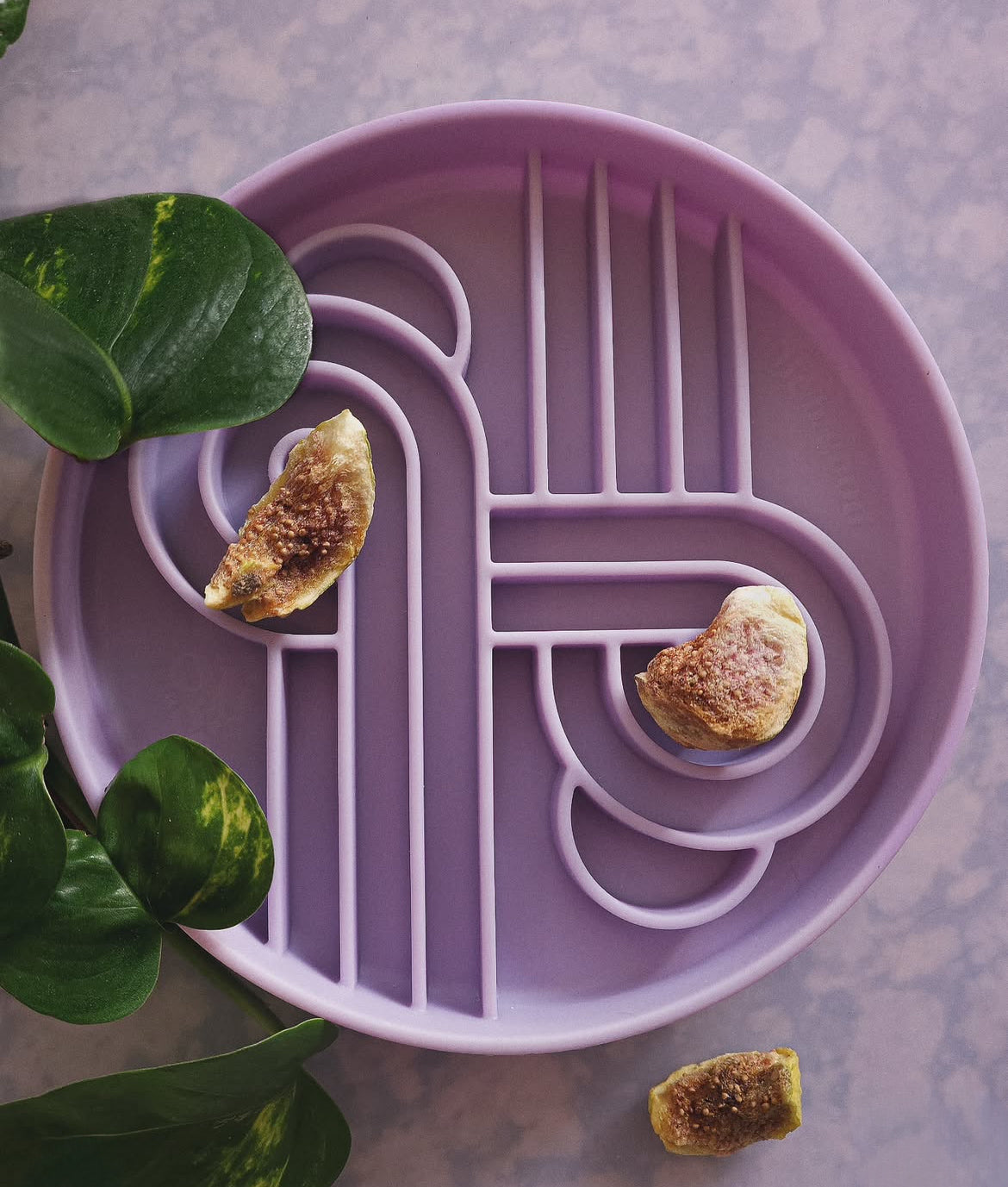 (Pre-order) Zoomies slow feeder bowl | Fig