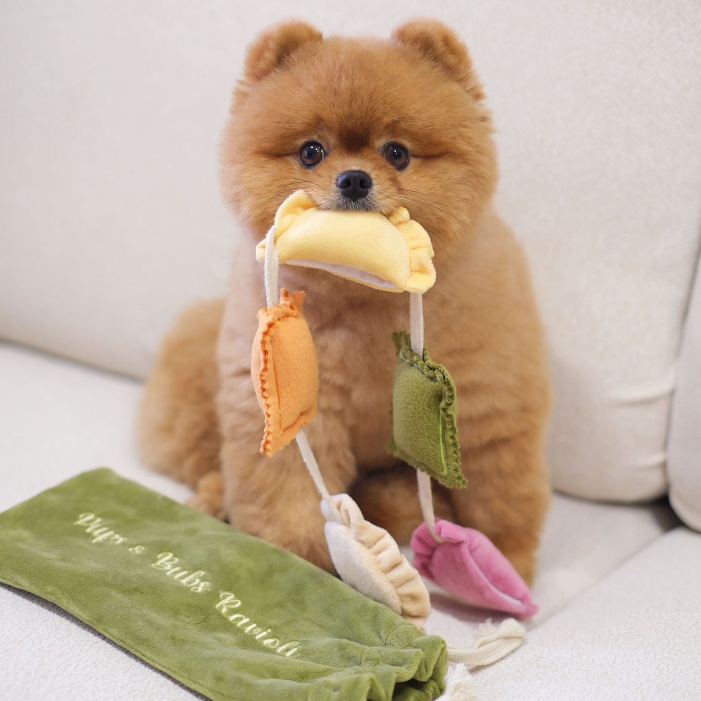 Ravioli Nosework Toy（預購）