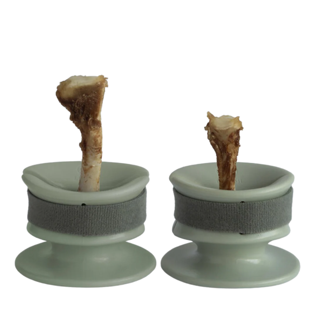 Grip 防呑咬食固定器 (綠)