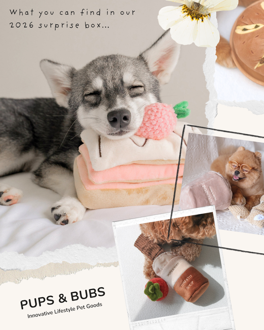 Pups & Bubs禮品盲盒（預購）