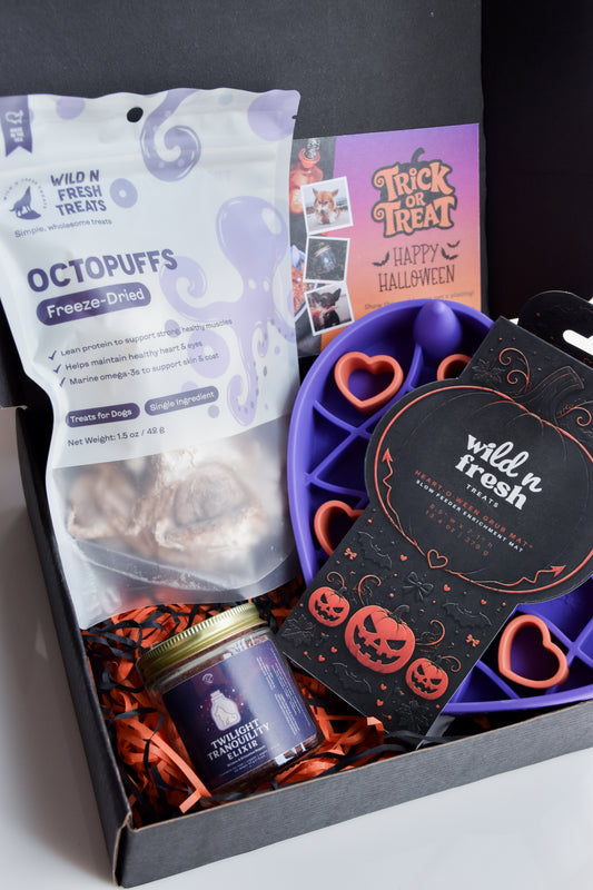 Witches' Brew Gift Set (Halloween Special)