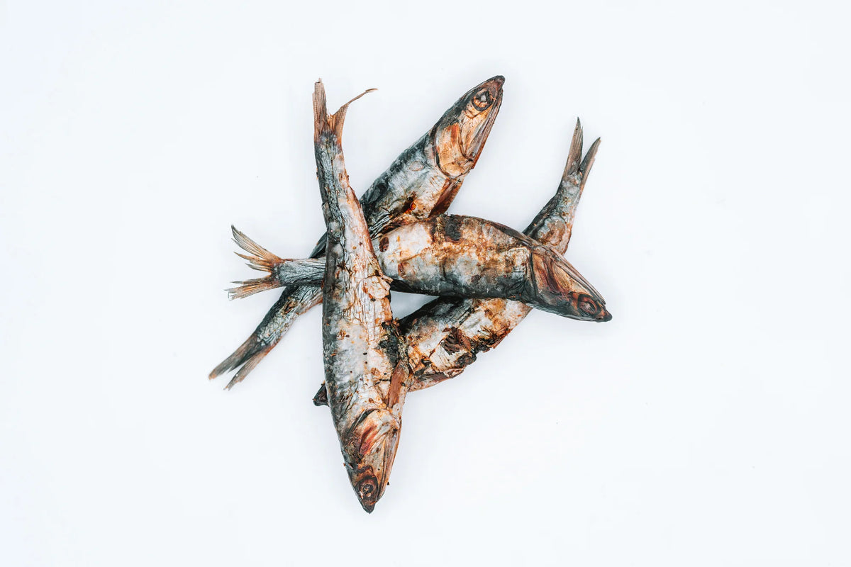 Dehydrated Anchovies 4oz