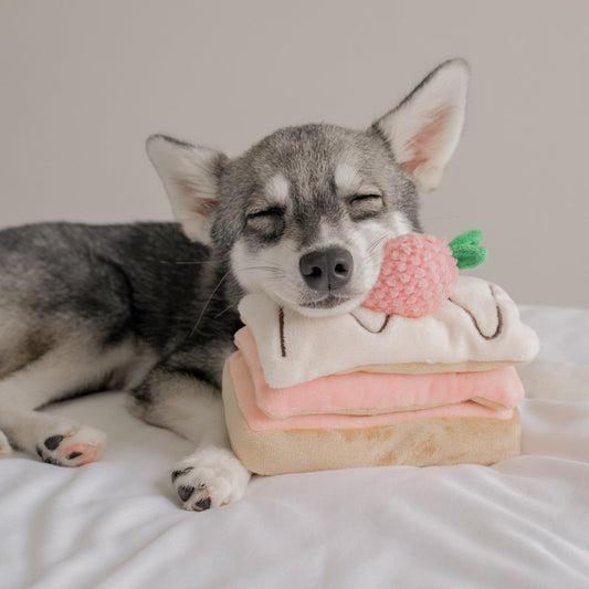 Strawberry Mille-Feuille Nosework Toy