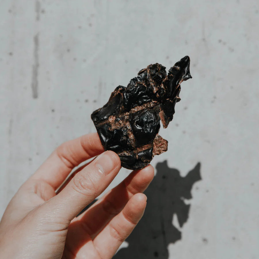 澳洲袋鼠肝 100g（預購）