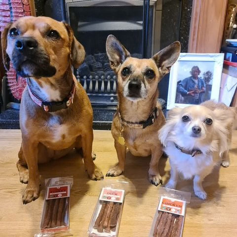 Pure Turkey Sticks 50g