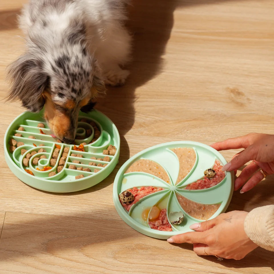 Wheelies lick mat & lid | cucumber melon