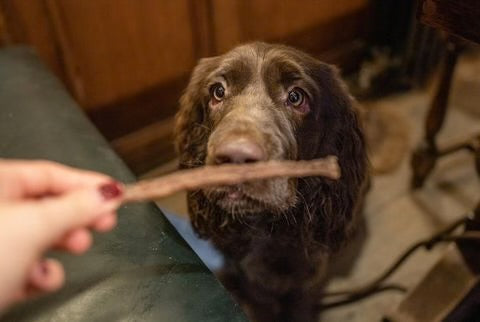 Pure Turkey Sticks 50g