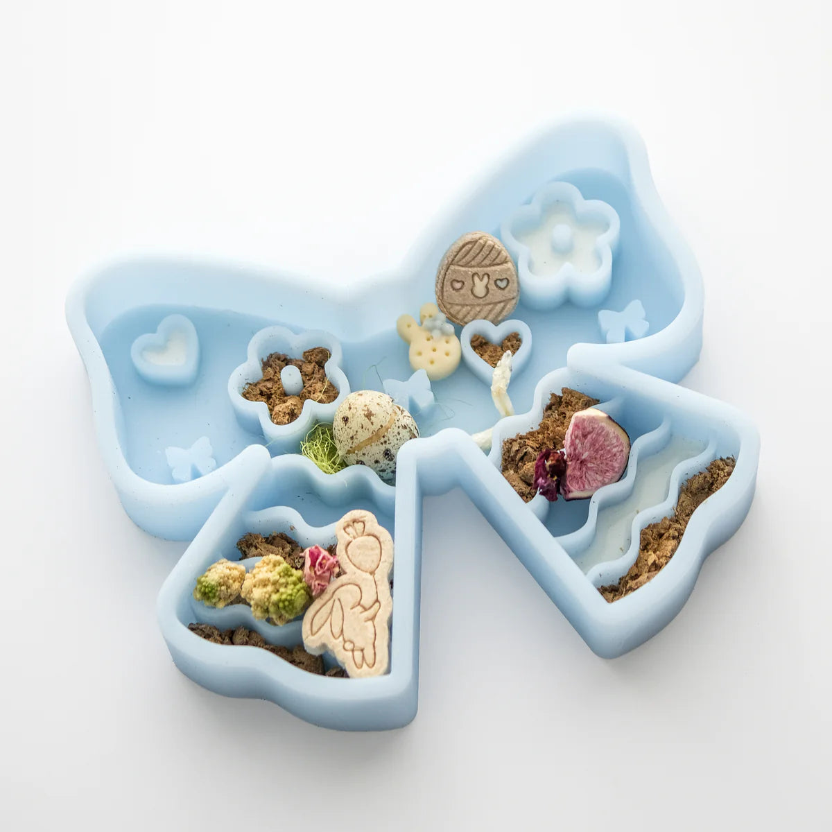 coquette forage feeder in polar blue